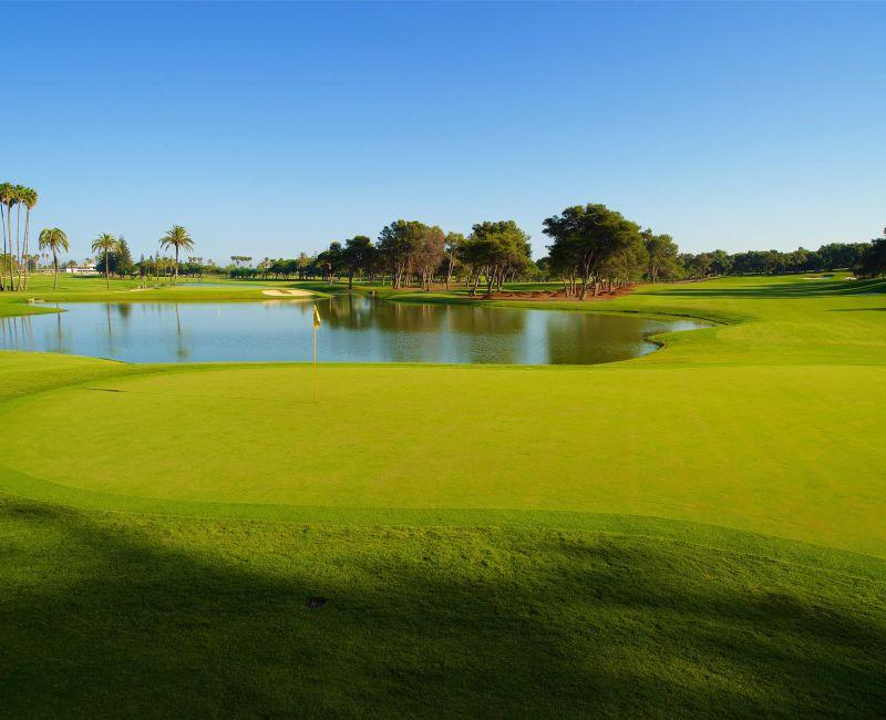 Image for Real Club de Golf Sotogrande course